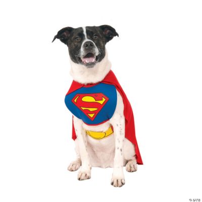 Superman Dog Costume Medium Oriental Trading
