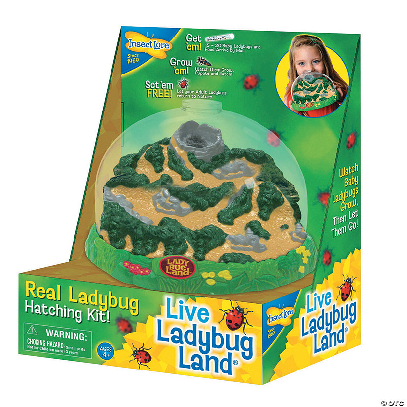 Insect Lore Kit LadyBug Land Live Ladybug Hatching Kit 
