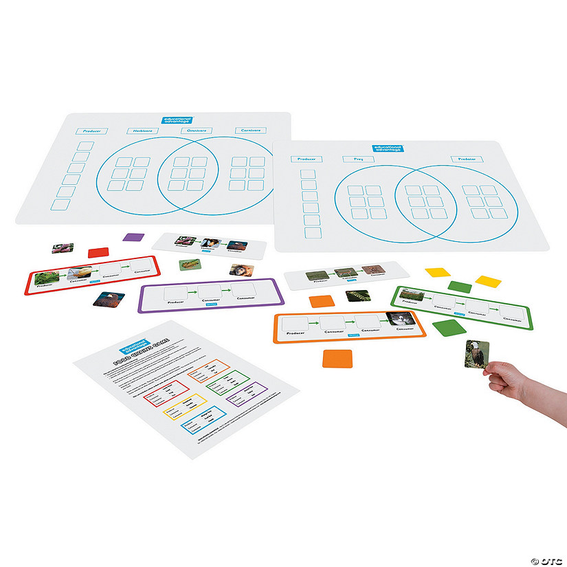 Food Chains Game - Discontinued