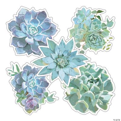 Potted Succulent Bulletin Board Decoration Set - "We Stick Together" Border & Cutouts