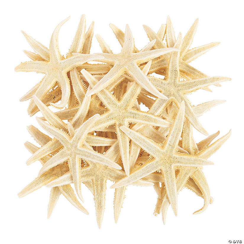 30 Small starfish 