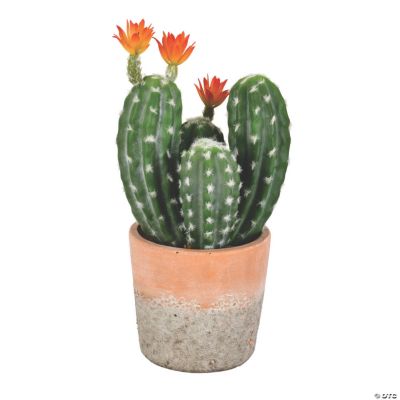 Vickerman 14" Green Cactus in Clay Pot | Trading