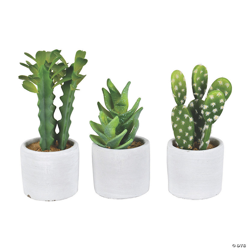 Set Of 3 Artificial 7 in Cactus and Succulent Ceramic Potted Plants NEW 