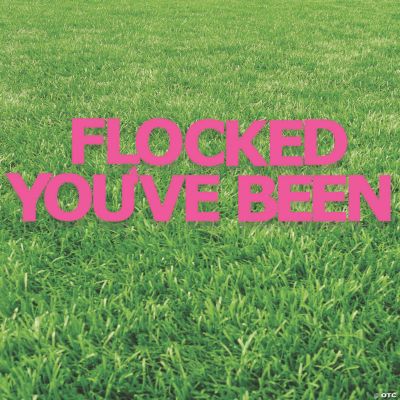 you-ve-been-flocked-yard-sign-oriental-trading