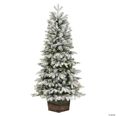Vickerman 5' Frosted Wendell Slim Potted Pine Artificial Christmas Tree