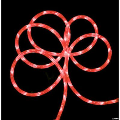 102' Strawberry-Pink Outdoor Rope Lights | Oriental Trading
