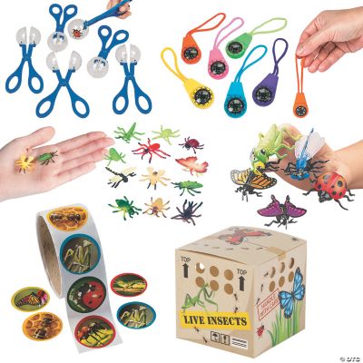 Backyard Adventure Kit for 12