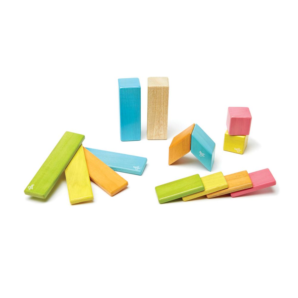 Tegu Magnetic Wooden Blocks, 14-Piece Set, Tints From MindWare