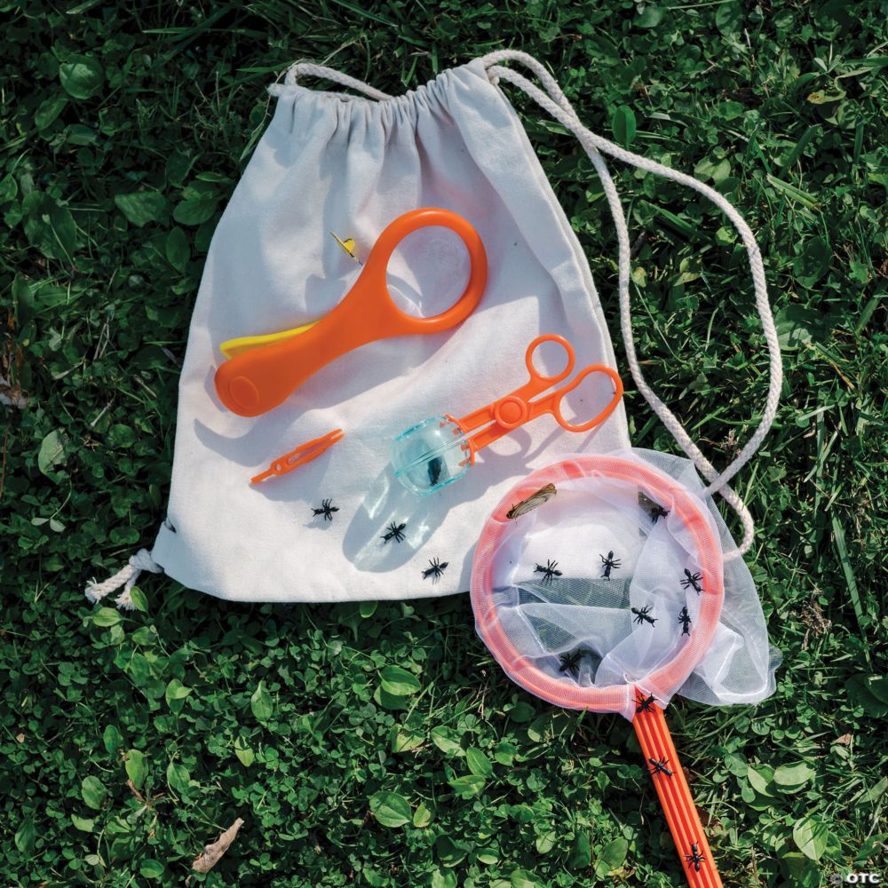 Lil Bug Catcher Tool Set From MindWare