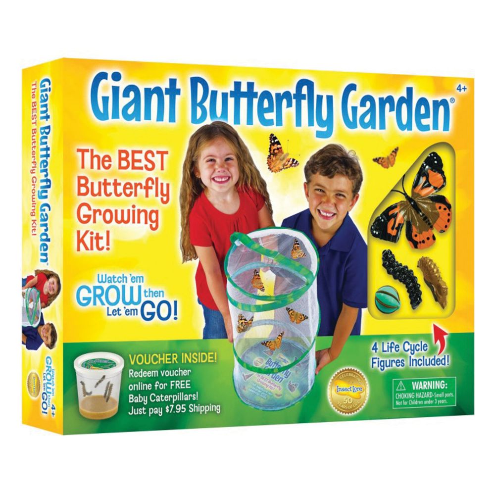 Insect Lore Giant Butterfly Garden® Deluxe Growing Kit From MindWare