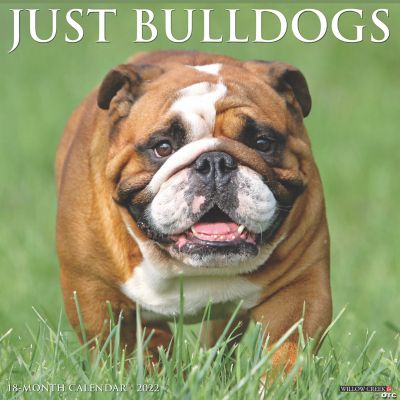 Willow Creek Press Just Bulldogs 2022 Wall Cal Dog Breed Oriental Trading