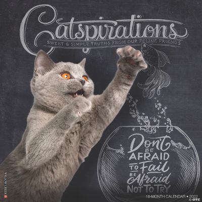 Willow Creek Press Catspirations 2022 Wall Cal Oriental Trading 6518