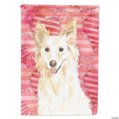 Caroline's Treasures 11 In. X 15-1/2 In. Polyester Shamrocks Rough Collie 2 Sided 2 Ply Garden Flag Ck1793gf