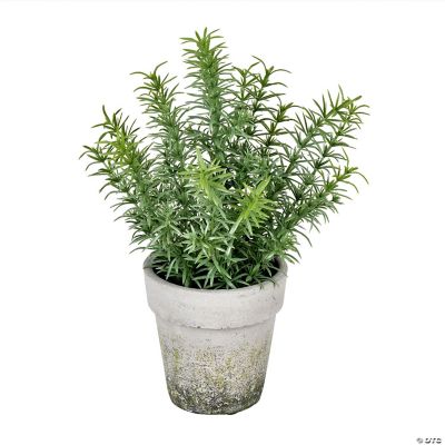 Vickerman 12.5“ Artificial Potted Green Plant | Oriental Trading