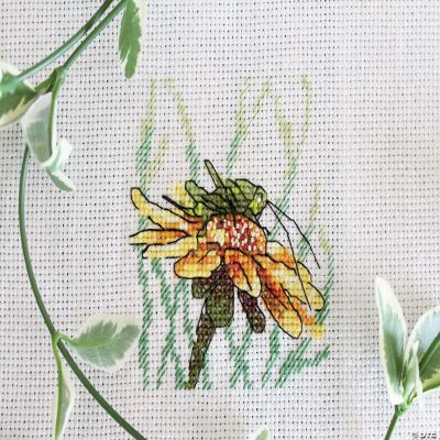 MP Studia - Grasshopper on Coneflower SM-622 Counted Cross Stitch