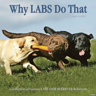 Willow Creek Press Book Why Labs Do That | Oriental Trading
