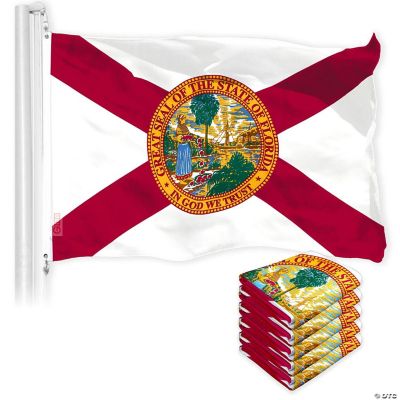 G128 Florida Fl State Flag 3x5ft 5 Pack 150d Printed Polyester Oriental Trading 4206