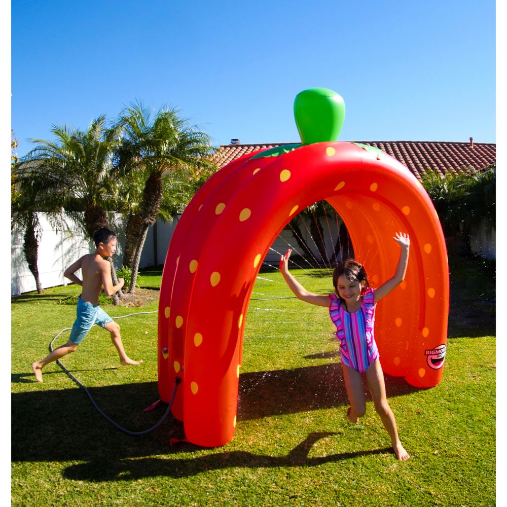 BigMouth: Strawberry Tunnel Sprinkler-3 Arch From MindWare