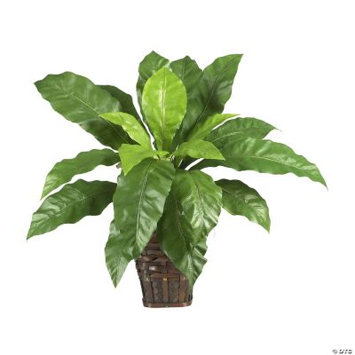 Nearly Natural Modern Decorative Mixed Greens Zebra with Wicker Silk