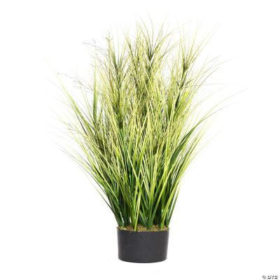 Vintage Home Artificial Faux Real Touch 60" Tall Onion Grass With Twigs
