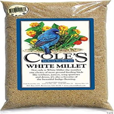 Cole's CWBMI20 White Millet Bird Seed, 20Pound Oriental Trading