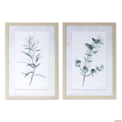 Melrose International Eucalyptus Framed Art Print (Set of 2) Oriental