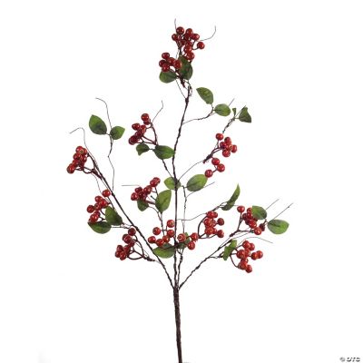 Melrose International Seeded Harvest Spray (Set of 12) main image 0