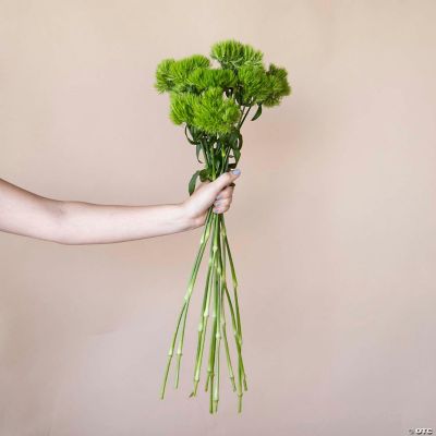 Bulk Flowers Fresh White and Bright Spring Bouquet