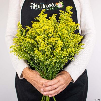 Bulk Flowers Fresh Yellow Solidago Flowers Oriental Trading