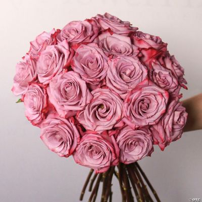 Bulk Flowers Fresh Pinky Purple Roses Oriental Trading