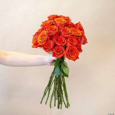 Bulk Flowers Fresh Dark Orange Roses Oriental Trading