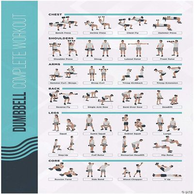 Postermate Fitmate Dumbbell Workout Exercise Poster Workout Routine