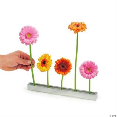 XXD's Boulevard Blumenallee Polished Aluminium Flower Vase G428