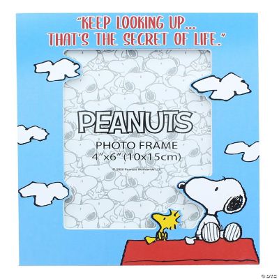 Peanuts Snoopy and Woodstock