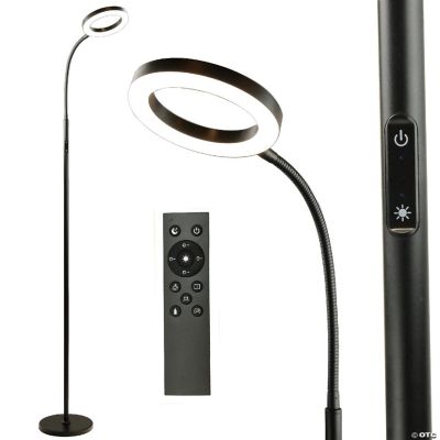 Light Accents LED Floor Lamp With Adjustable Color and Dimmer Remote