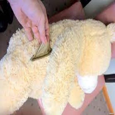 Big Teddy Add a Custom Made ZIPPERED POCKET WE WILL PROFESSIONALLY