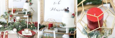 Christmas Wedding Theme