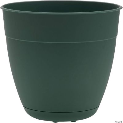 Bloem Dayton Recycled Plastic Planter Turtle Green, 6 Inches