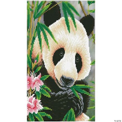 Diamond Dotz Intermediate Kit - Panda Prince