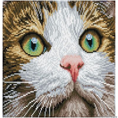 Diamond Dotz – Quadro Gatto Occhi Verdi Con Cornice (28,9x36,7 Cm) – Kit Completo Di Pittura Con Diamanti