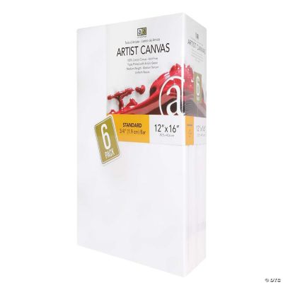 Art Advantage Artist Canvas 12 X 16 In 6 Pc   14289145