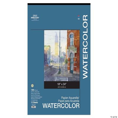 Pro Art Watercolor Paper 18 x 24 in. 140 lb. 12 Sheet