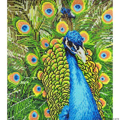 Hot Sale Small Size Green Peacock Full Drill Diamond Painting Stone Art  Painting - China Full Drill Diamond Painting and Peacock Diamond Painting  price