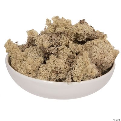 Vickerman Box Natural Moss, Reindeer- 9 lb bulk, Preserved