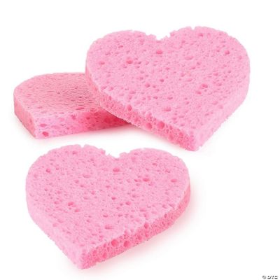 3 pack Heart shaped sponges | Oriental Trading
