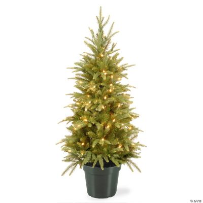 National Tree Company 4 ft. Weeping Spruce Tree with Clear Lights