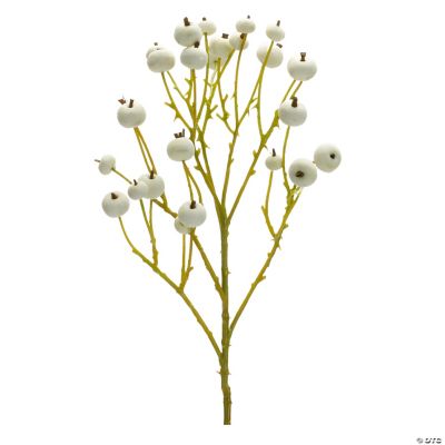 Melrose International Seeded Harvest Spray (Set of 12) main image 1