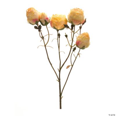 Melrose International Bunny Tail Spray (Set of 6) main image 1