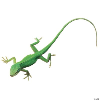 Carolina Biological Supply Company Anolis carolinensis, Living, Small