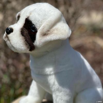 Auswella Zander Plush White Boxer Dog Oriental Trading